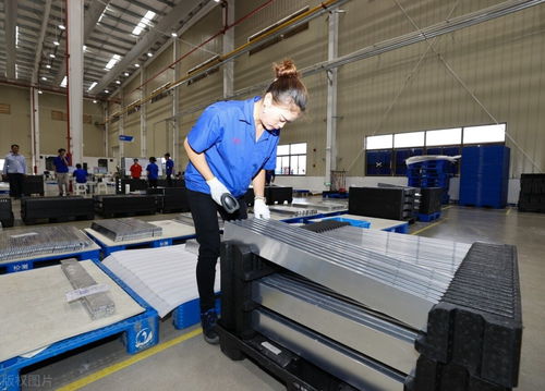 16萬的特斯拉即將問世，國產汽車與日用品市場的雙重機遇與挑戰